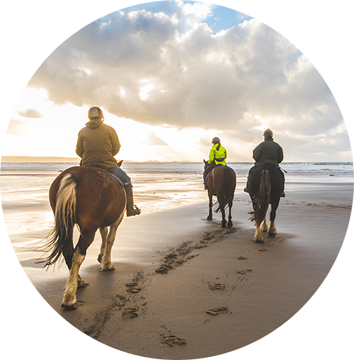 Horseback Riding of Myrtle Beach Logo